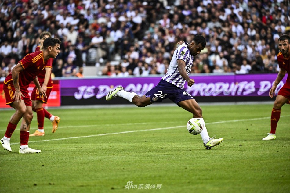 的合同条款 的合同条款